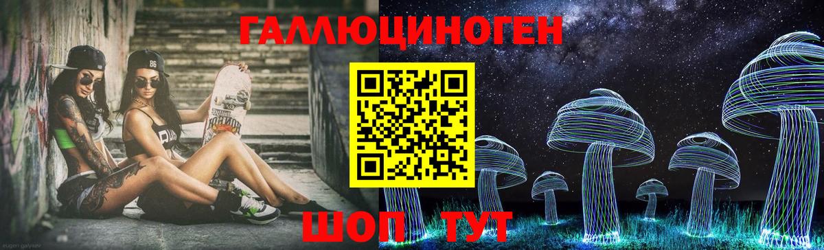 Галлюциногенные грибы Psilocybe Советск